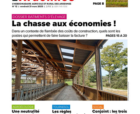 Edition : N° 12-2025