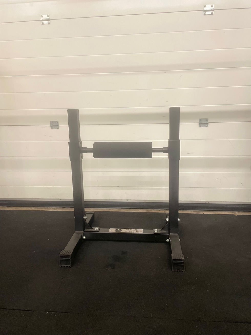 Thumbnail: single leg / split squat stand
