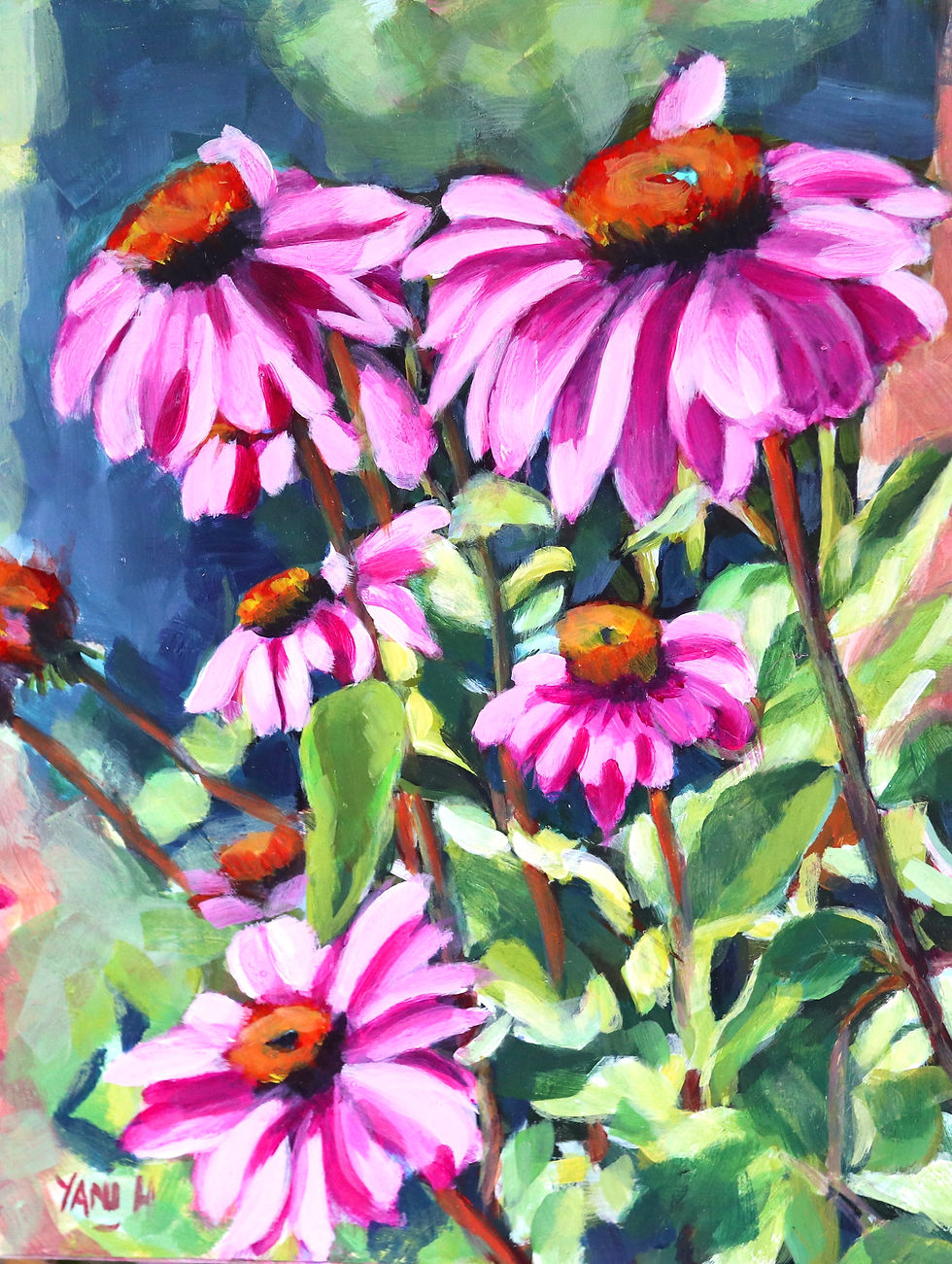 Purple Coneflowers