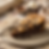 Cookie Pie (Dilim)
