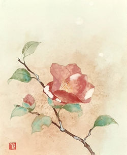 青木志子　雪椿　3号