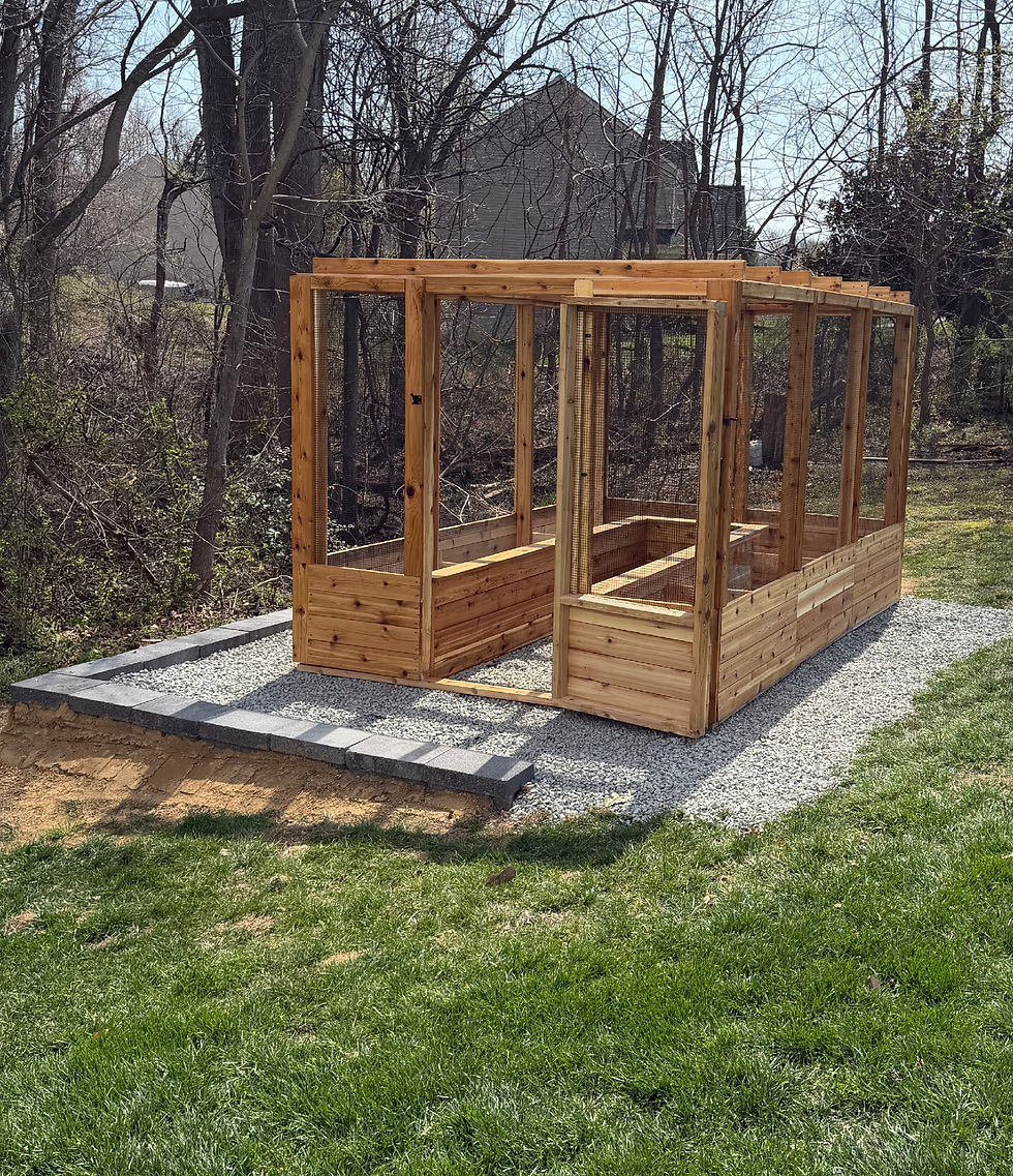 Kellams Garden.JPG