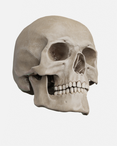 FOV LX Website (1).gif