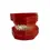 Thumbnail: DS-S12A Dentural Development Model A (3-6 Years Old)