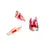 Thumbnail: Root pulp cavity model Transparent for Medical Treatment