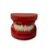 Thumbnail: DS-7004R Natural Size Model
