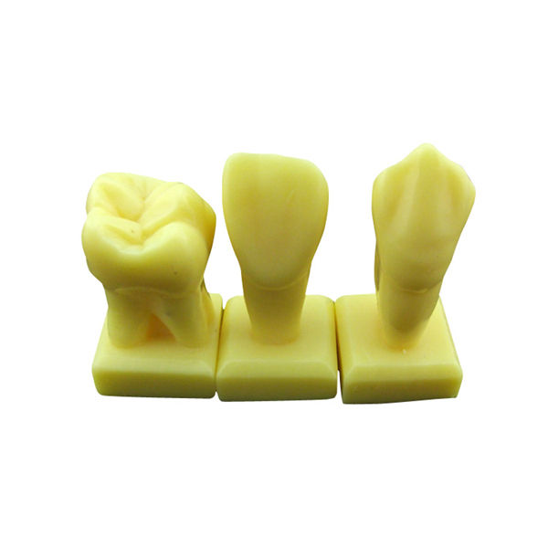 Times Guiding Model of Tooth Carving
