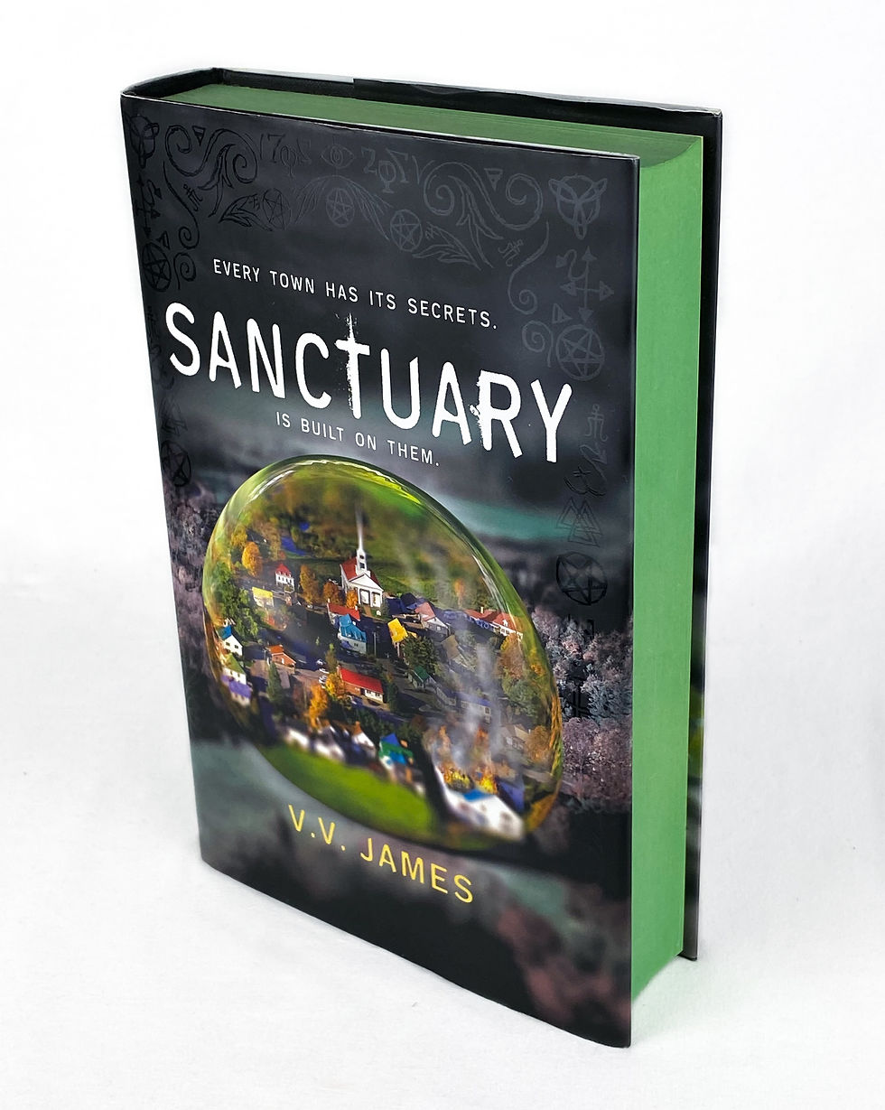Sanctuary by V. V. James