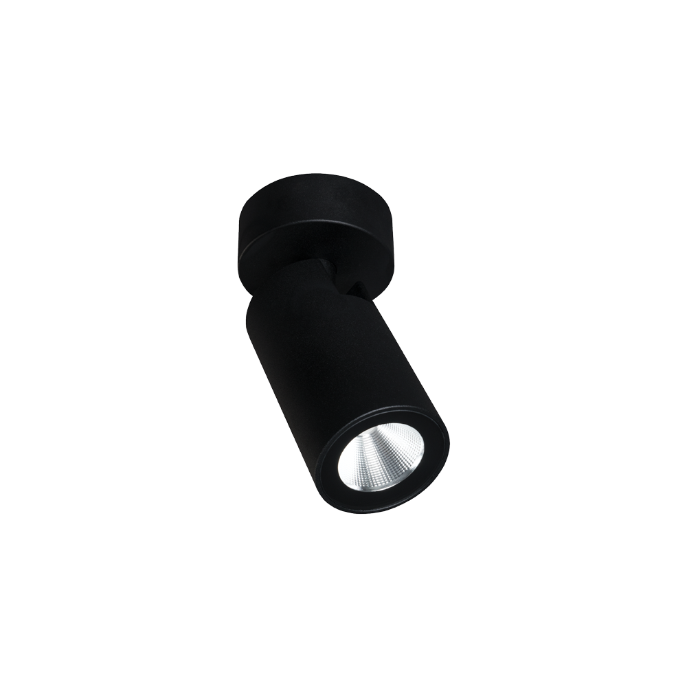 ONYX ONE