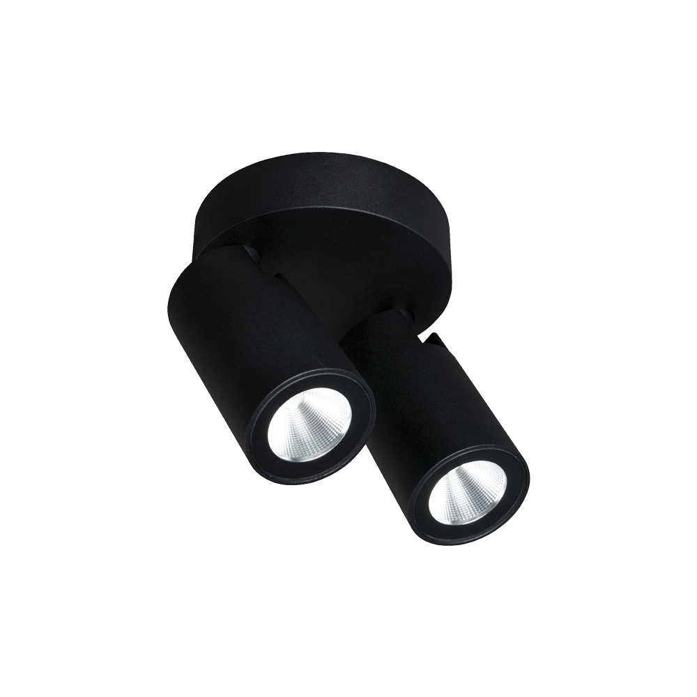 ONYX TWO