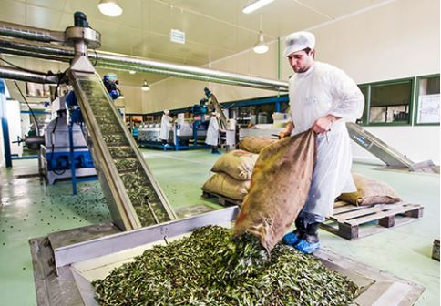 Thumbnail: 0.2 Cretan Olive Mill Extra Virgin Olive Oil 250ml / 500ml