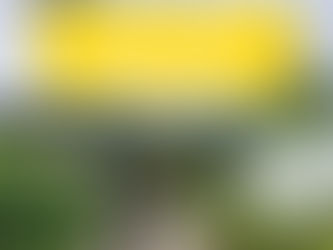 2024년 신편입 입학원서 접수