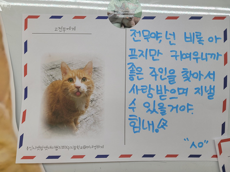 제6회 머내마을영화제 -2탄- 수지꿈상영관