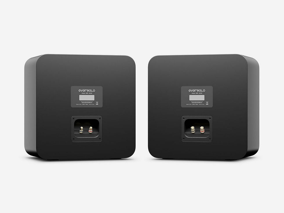 Thumbnail: back panel EVERSOLO SE100 SPEAKERS black