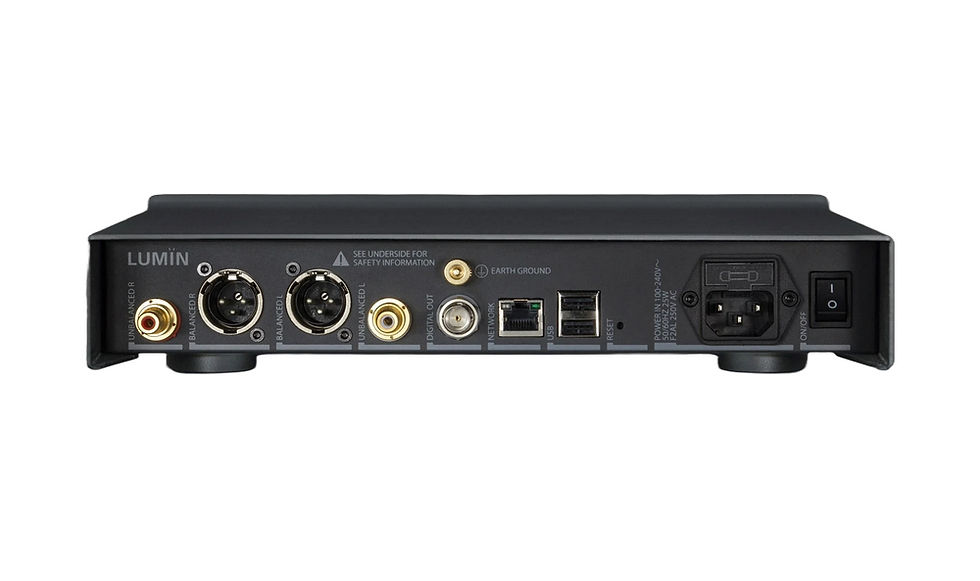 Thumbnail: LUMIN D3 MUSIC STREAMER back panel connections