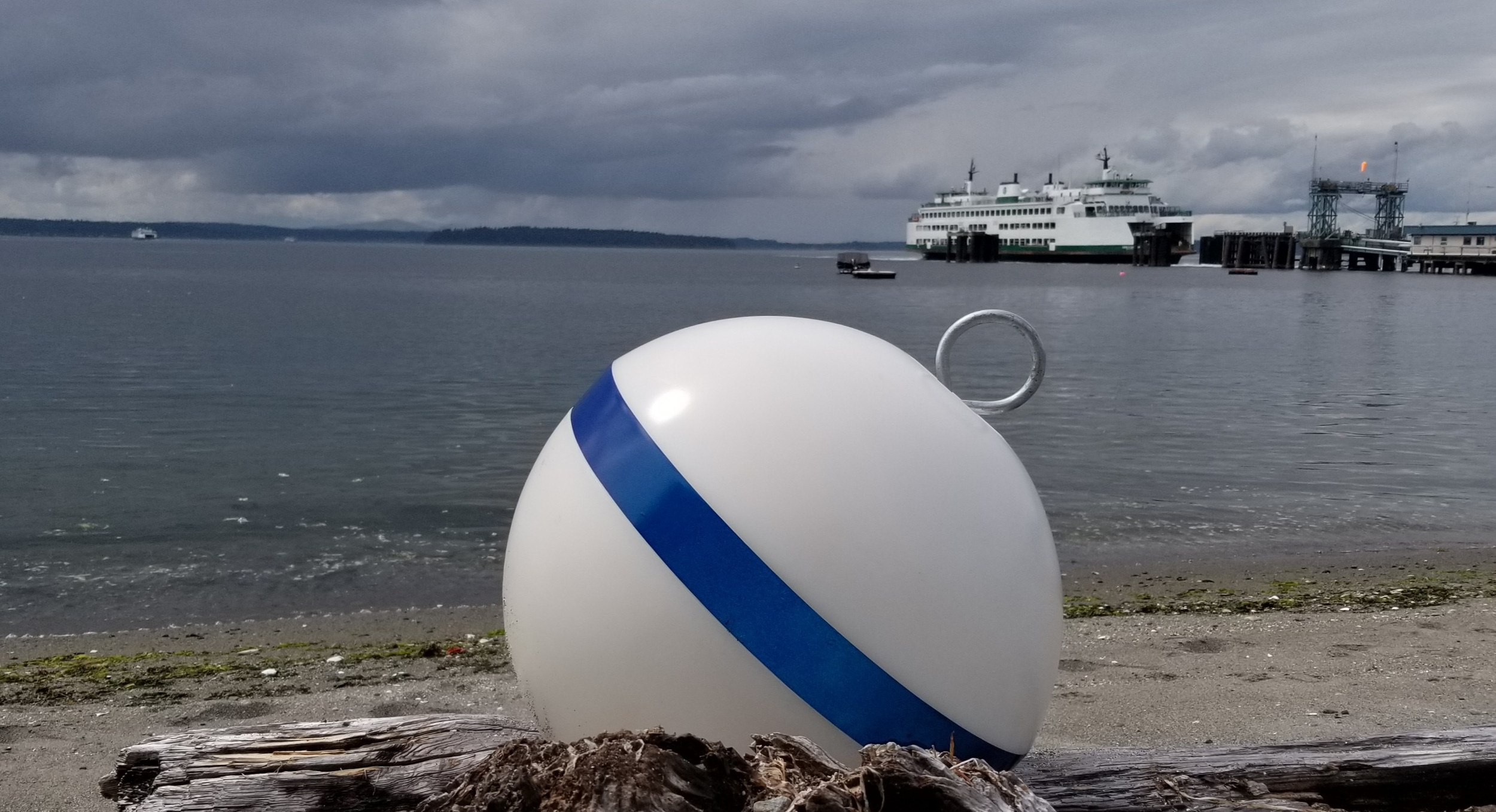 Mooring System Assessment Form Seattle Diving Services