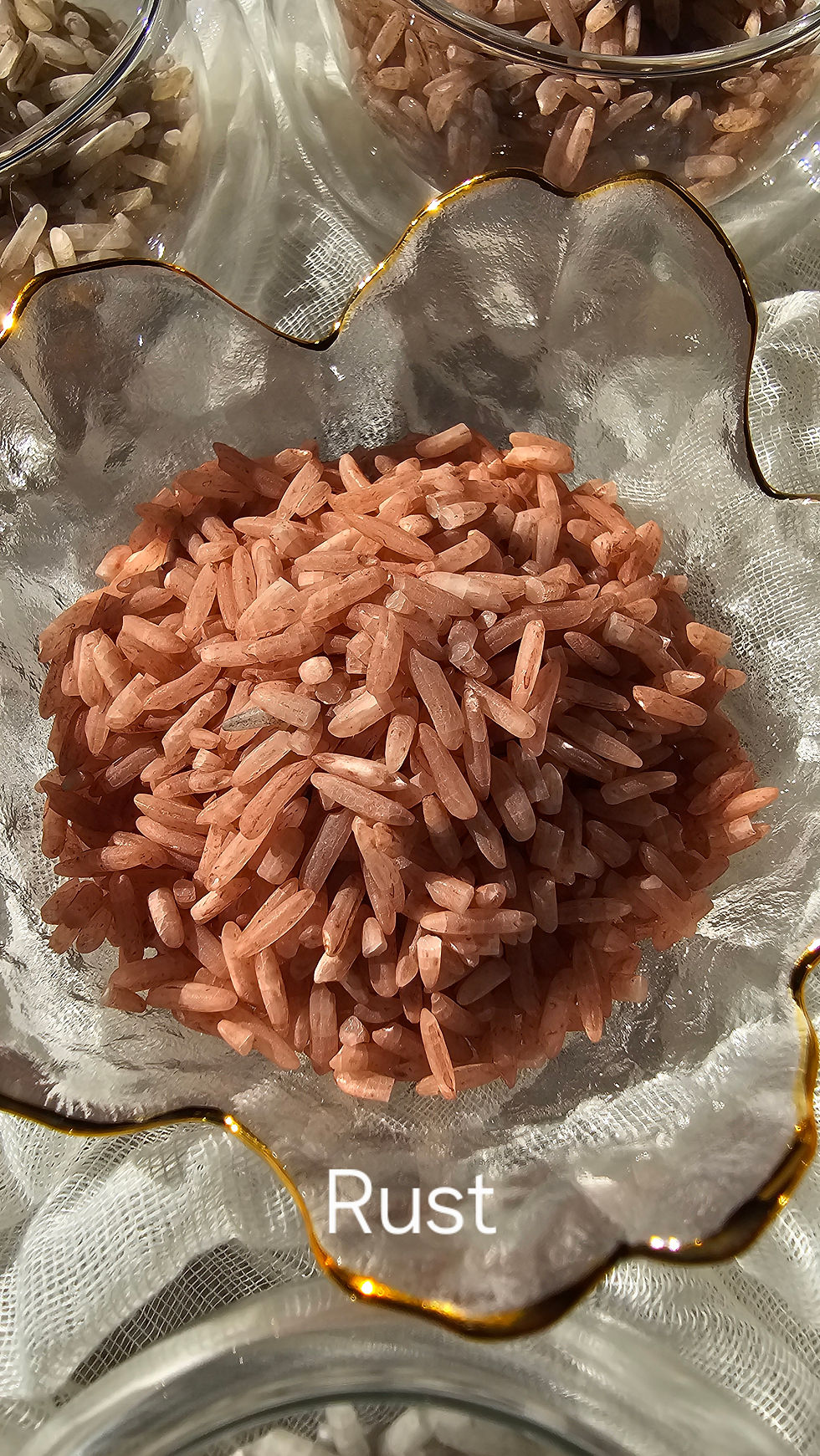 Thumbnail: 🤎Sensory Rice - Earth Series