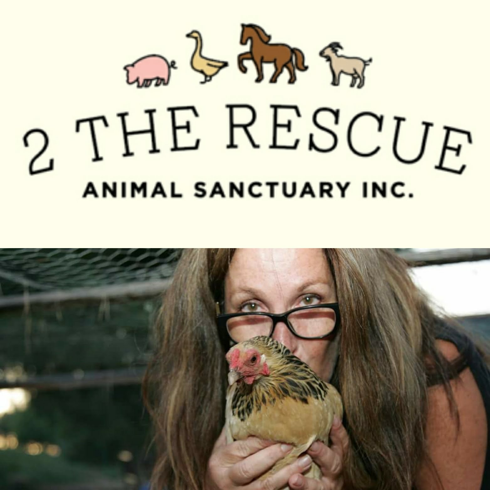 2 The Rescue Animal Rescue
