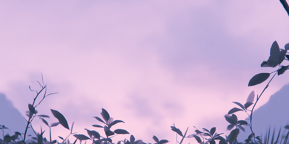 k.1757_serene_relaxing_nature_very_slight_purple_hue_very_relax_f9c18564-0ba0-42a6-8e7c-27