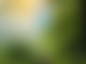 Transform Your Energy: Understanding Reiki and the Chakra System