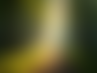 Understanding Spiritual Awakening and Its Purpose in Our Lives