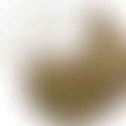 Time for the New Wine