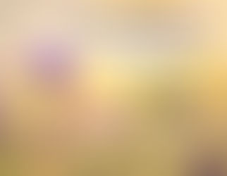 From Taunts to Triumph