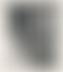 The Most Important Thing, Prophetic Destinies, Pt. 22