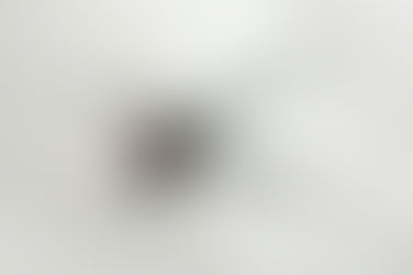 No Ordinary Deception