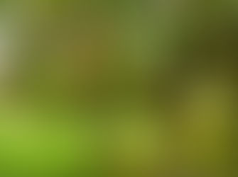 A Season to Bear Fruit