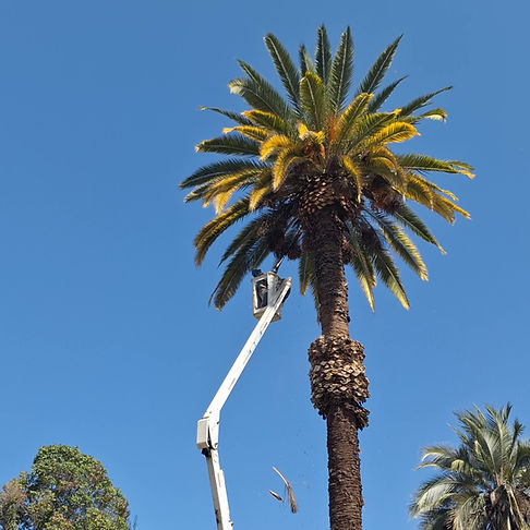 20250827_131233 - frame at 0m2s_edited.jpg