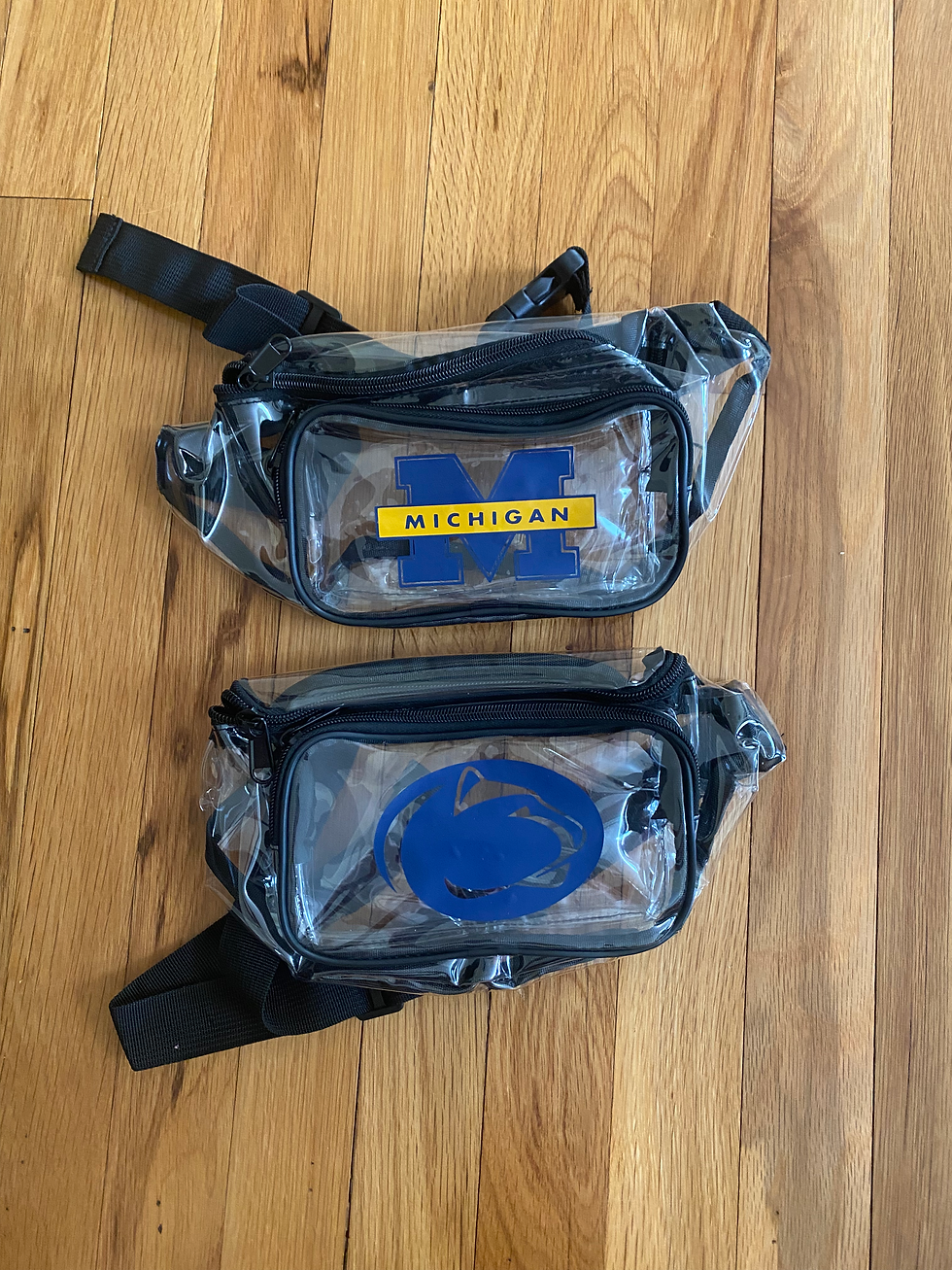 Thumbnail: Fanny Packs