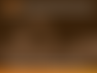 PROYECTO DE CONSTRUCCIÓN DE LA PLANTA FERTILIZANTRES TOPOLOBAMPO