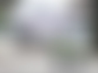 Desabasto de chips frena 383 mil autos