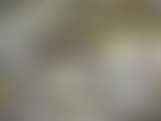 Amazon eleva capacidad para enfrentar los problemas de temporada navideña