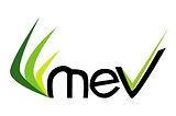 MEV.jpeg