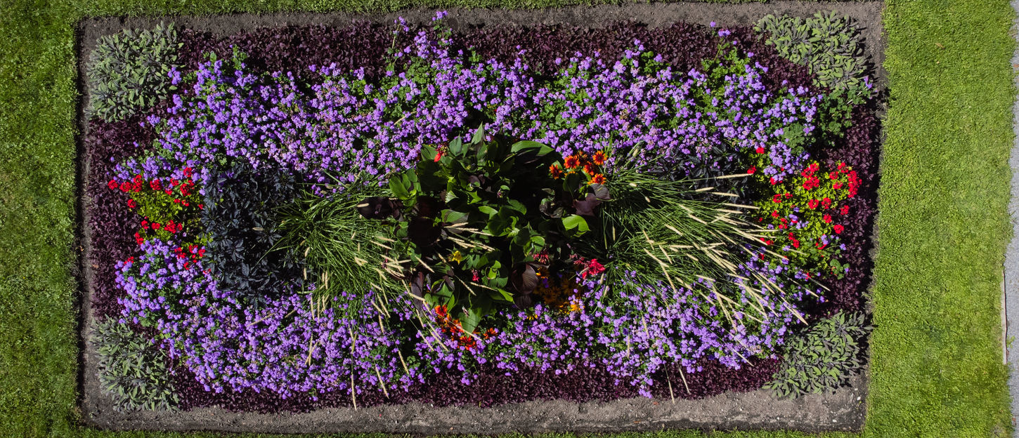 St-Hyacinthe Botanical Gardens 05