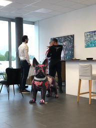 bulldog-resine-animaux-en-resine-ch.jpeg