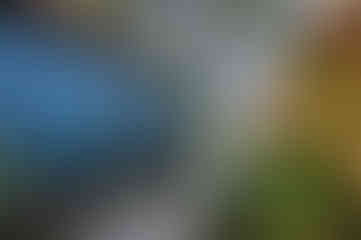 WhatsApp Image 2022-01-30 at 10.03.08 (2)