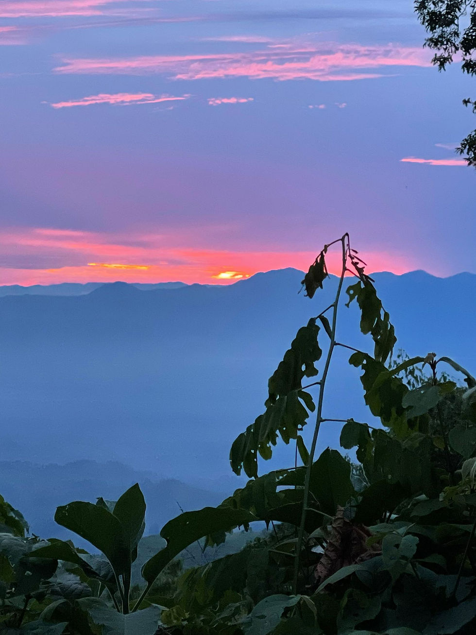 Todo lo que necesitas saber para ir a Uganda… Agencia de viajes 100% a medida. Contáctanos al 93 414 16 06. Conocemos los destinos en primera persona. Encuentra los destinos más exclusivos y de moda del momento. Viajes de lujo y Trato VIP. La mejor selección hotelera. Asesoramiento personalizado según tus preferencias. Crea tu viaje a medida y vive una experiencia única. Más de 10 años de experiencia en el sector del turismo de lujo.