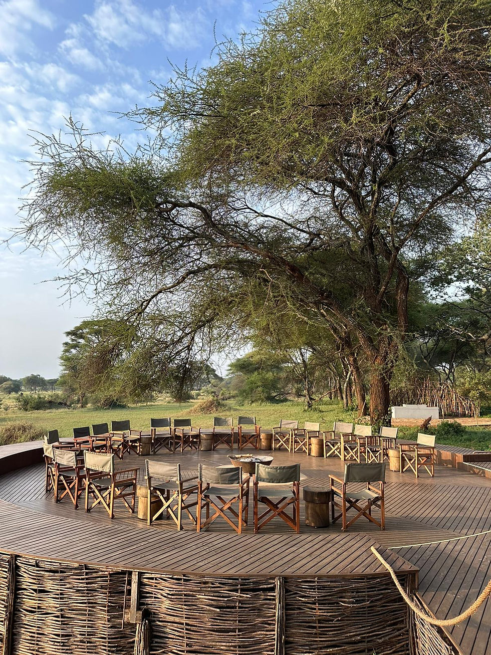 Luna de miel en Tanzania - Agencia de viajes 100% a medida. Contáctanos al 93 414 16 06. Conocemos los destinos en primera persona. Encuentra los destinos más exclusivos y de moda del momento. Viajes de lujo y Trato VIP. La mejor selección hotelera. Asesoramiento personalizado según tus preferencias. Crea tu viaje a medida y vive una experiencia única. Más de 10 años de experiencia en el sector del turismo de lujo.