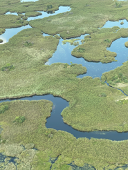 Viaje de prospección a Botswana. PouTravel es una agencia de viajes de lujo 100% a medida. Llámanos al 93 414 16 06. Expertos en lunas de miel y viaje de novios, safaris en privado organizados por África, viajes orgaizados en familia. Más de 10 años de experiencia en el sector del turismo de lujo. Experiencias únicas por todo el mundo. Asistencia 24h en viajes. Asesoramiento personalizado. Organizamos viajes a medida. Trato VIP. El viaje de tus sueños hecho realidad. Oficinas en Barcelona y Gerona. Trabajamos por todo España. 