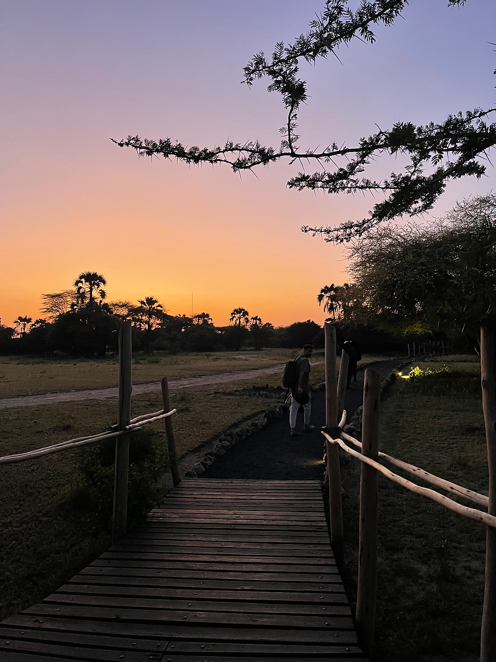 Luna de miel en Tanzania - Agencia de viajes 100% a medida. Contáctanos al 93 414 16 06. Conocemos los destinos en primera persona. Encuentra los destinos más exclusivos y de moda del momento. Viajes de lujo y Trato VIP. La mejor selección hotelera. Asesoramiento personalizado según tus preferencias. Crea tu viaje a medida y vive una experiencia única. Más de 10 años de experiencia en el sector del turismo de lujo.