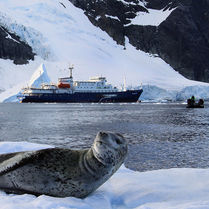 Viaje organizado a la Antártida. PouTravel agencia de viajes 100% a medida. Contáctanos al 93 414 16 06. Conocemos los destinos en primera persona. Descubre los lugares más fascinantes del momento. Encuentra los destinos más exclusivos y de moda del momento. Viajes de lujo y Trato VIP. La mejor selección barcos exploración. Expedición a la Antártida, Mar de Weddell, Pingüino Emperador, Barco Expedición Antártida, Antártica 21, Quark Expeditions, Oceanwide Expeditions, Islas Malvinas, Campamento Base