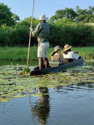 Viaje de prospección a Botswana. PouTravel es una agencia de viajes de lujo 100% a medida. Llámanos al 93 414 16 06. Expertos en lunas de miel y viaje de novios, safaris en privado organizados por África, viajes orgaizados en familia. Más de 10 años de experiencia en el sector del turismo de lujo. Experiencias únicas por todo el mundo. Asistencia 24h en viajes. Asesoramiento personalizado. Organizamos viajes a medida. Trato VIP. El viaje de tus sueños hecho realidad. Oficinas en Barcelona y Gerona. Trabajamos por todo España. 