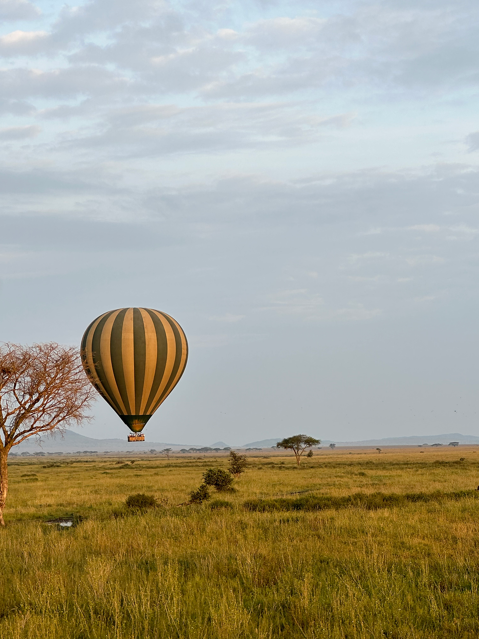 Luna de miel en Tanzania - Agencia de viajes 100% a medida. Contáctanos al 93 414 16 06. Conocemos los destinos en primera persona. Encuentra los destinos más exclusivos y de moda del momento. Viajes de lujo y Trato VIP. La mejor selección hotelera. Asesoramiento personalizado según tus preferencias. Crea tu viaje a medida y vive una experiencia única. Más de 10 años de experiencia en el sector del turismo de lujo.