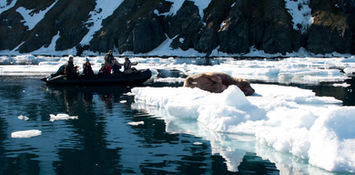 Viaje organizado a Noruega. PouTravel agencia de viajes 100% a medida. Contáctanos al 93 414 16 06. Conocemos los destinos en primera persona. Descubre los lugares más fascinantes del momento. Encuentra los destinos más exclusivos y de moda del momento. Viajes de lujo y Trato VIP. La mejor selección hotelera. Expedición Spitsbergen y Svalbard Quark Expeditions, Oslo, Tromso, Ver Auroras Boreales Noruega, Lofoten y Nordland, Bergen y los fiordos occidentales, El fiordo de Geiranger, Stavanger