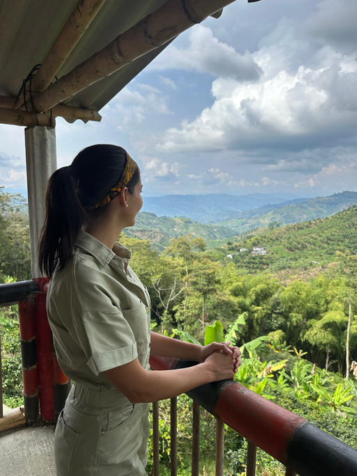 Viaje de prospección a Colombia. Experiencia de Gorillas.  PouTravel es una agencia de viajes de lujo 100% a medida. Llámanos al 93 414 16 06. Expertos en lunas de miel y viaje de novios, safaris en privado organizados por África, viajes orgaizados en familia. Más de 10 años de experiencia en el sector del turismo de lujo. Experiencias únicas por todo el mundo. Asistencia 24h en viajes. Asesoramiento personalizado. Organizamos viajes a medida. Trato VIP. El viaje de tus sueños hecho realidad. Oficinas en Barcelona y Gerona. Trabajamos por todo España. 