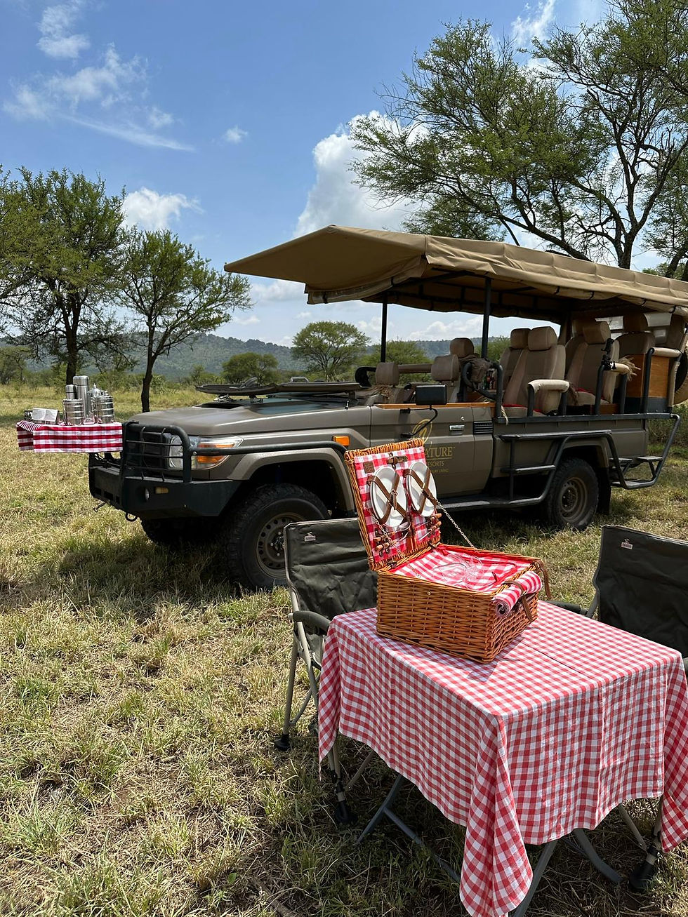 Luna de miel en Tanzania - Agencia de viajes 100% a medida. Contáctanos al 93 414 16 06. Conocemos los destinos en primera persona. Encuentra los destinos más exclusivos y de moda del momento. Viajes de lujo y Trato VIP. La mejor selección hotelera. Asesoramiento personalizado según tus preferencias. Crea tu viaje a medida y vive una experiencia única. Más de 10 años de experiencia en el sector del turismo de lujo.