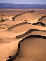 Viaje organizado a Marruecos. PouTravel agencia de viajes 100% a medida. Contáctanos al 93 414 16 06. Conocemos los destinos en primera persona. Descubre los lugares más fascinantes del momento. Encuentra los destinos más exclusivos y de moda del momento. Viajes de lujo y Trato VIP. La mejor selección hotelera. Four Seasons Marrakech, La Mamounia, Mandarin Oriental, Royal Mansour, Amanjena, Sahara Desierto, Campamento De Lujo Desierto Merzouga, Fez, Chefchaouen